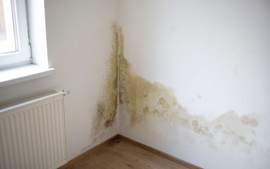 Réparation des dégâts des eaux et travaux de peinture intérieure : Comment restaurer votre domicile après ce sinistre ?